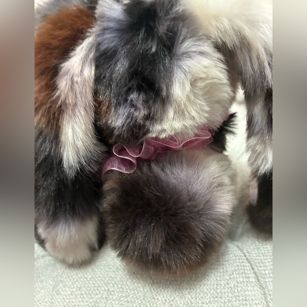 Beautiful sitting labubu bunny - New, high-quality custom - Picture 3 of 4